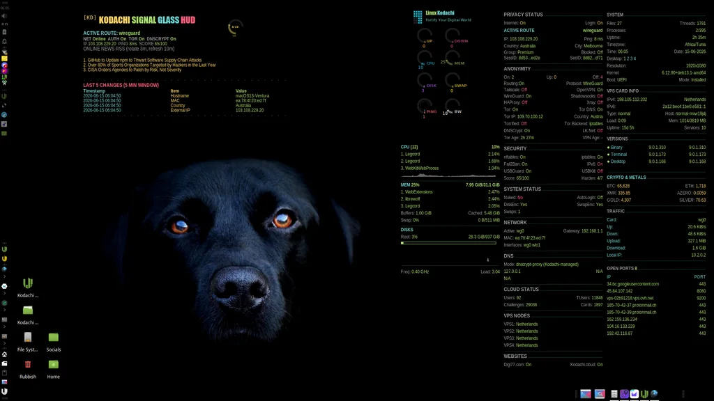 BlackwolfOz's Kodachi desktop: black lab by BlackwolfOz, Kodachi OS desktop