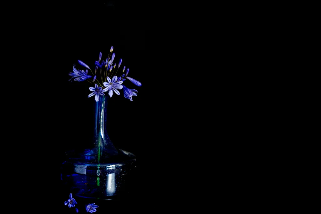 Blue Vase Wallpaper by BlackwolfOz, Kodachi OS wallpaper